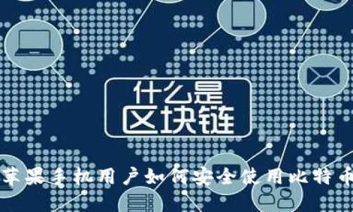 国内苹果手机用户如何安全使用比特币钱包