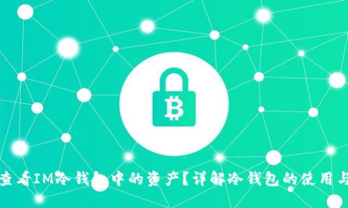 如何查看IM冷钱包中的资产？详解冷钱包的使用与管理