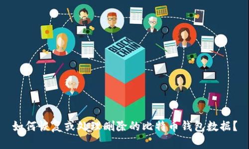 如何恢复或处理删除的比特币钱包数据？