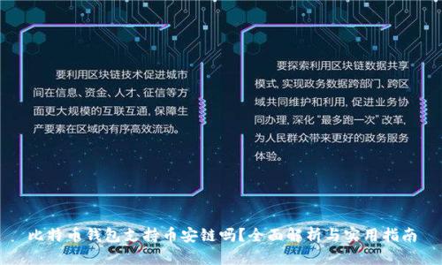 比特币钱包支持币安链吗？全面解析与实用指南