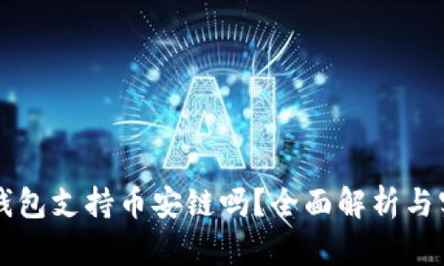 比特币钱包支持币安链吗？全面解析与实用指南