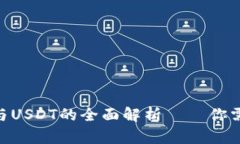 鼓鼓钱包USD与USDT的全面解