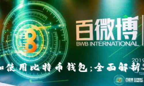 如何选择和使用比特币钱包：全面解析与实用指南