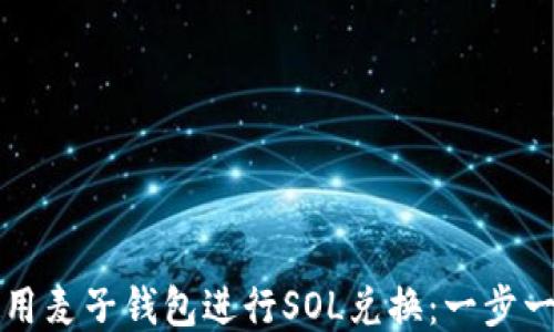 
如何使用麦子钱包进行SOL兑换：一步一步指南